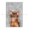 Abyssinian Metal Sign Design Decoration Bar Customize Retro Tin Sign Poster