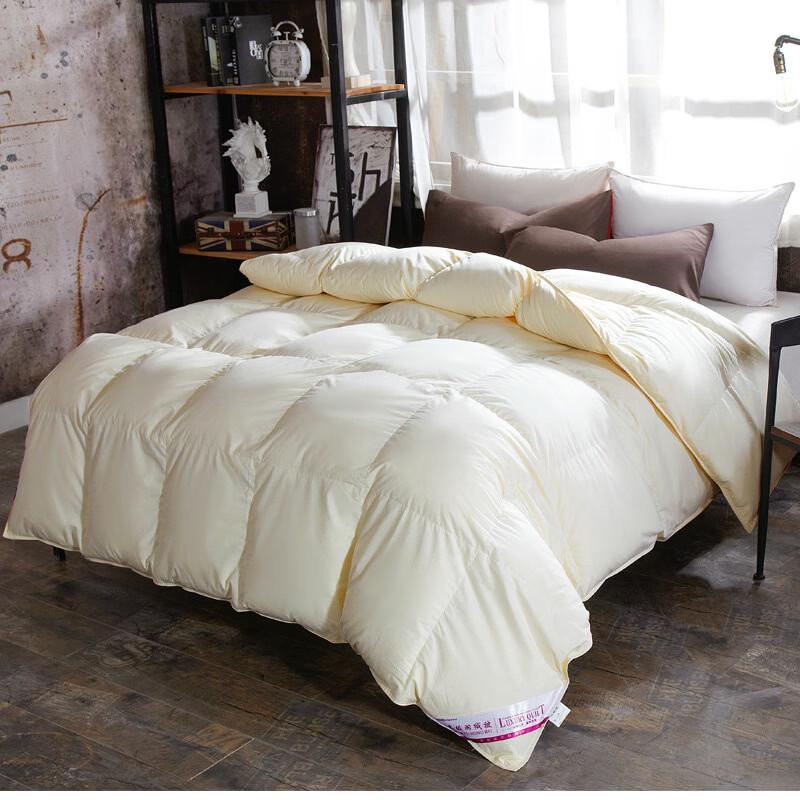 Brangdy All-Season Feather Velvet Quilt