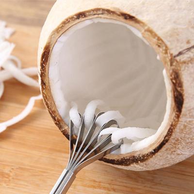 Kokosnussschaber Edelstahl Kokosnussmesser Haushalt Kokosnussreibe Kokosnussfleisch Schaben Fisch Obst Planungswerkzeuge