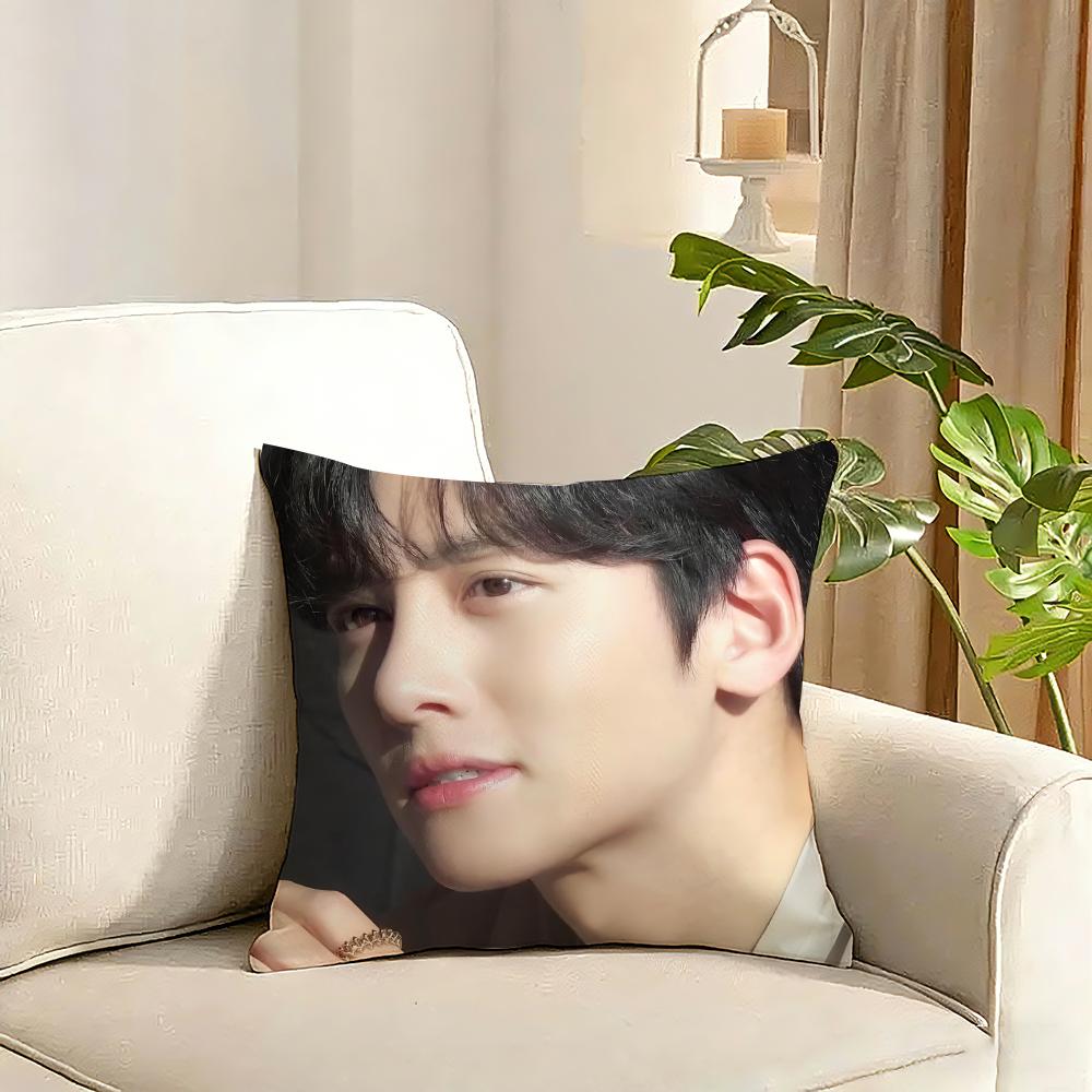 Ji Chang wook Kissenbezug Wendbar Plüschkissenbezug Weich Flauschig Heimdekoration für Sofa Schlafzimmer