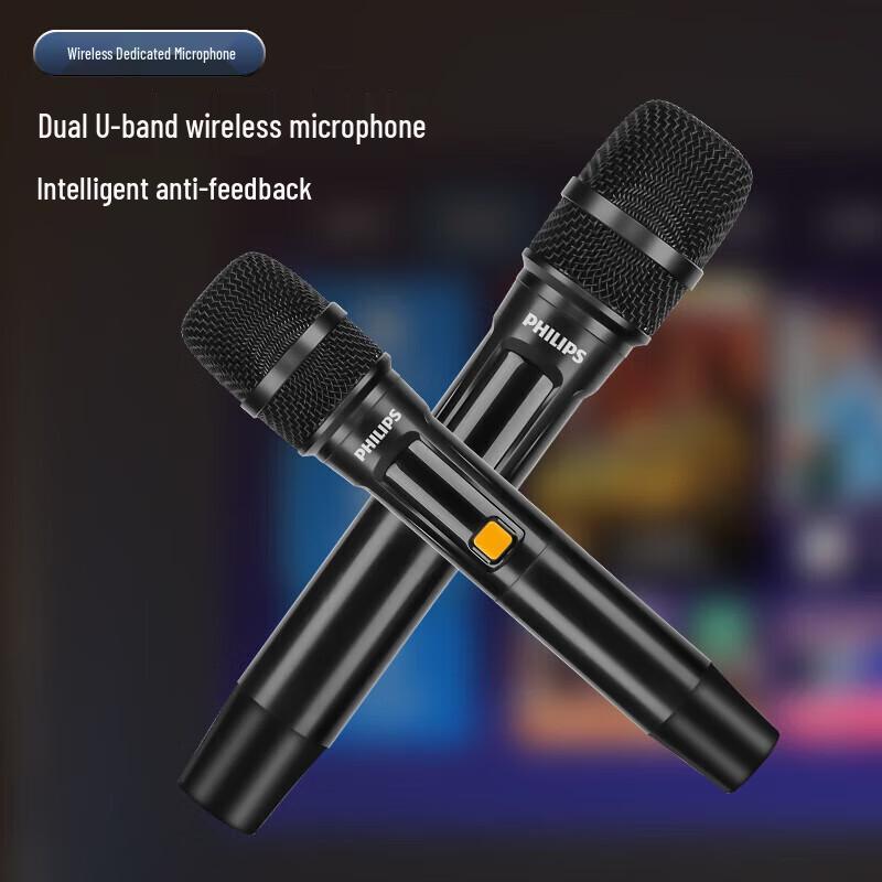 Philips SD139 Portable Outdoor Bluetooth Speaker