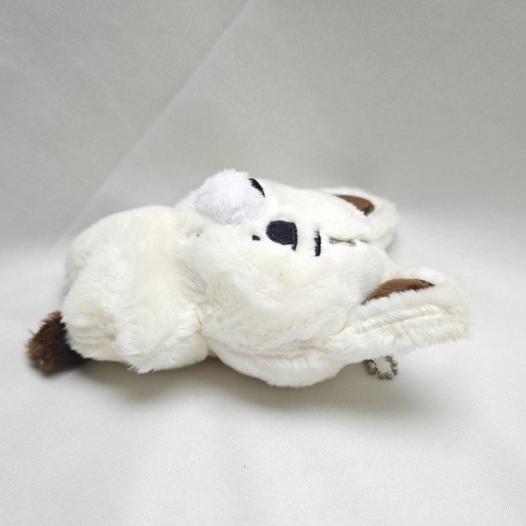 EN Liang Zhenyuan Shen Zai Lun Plush Keychain Doll - Jay Park & Chengxun Edition