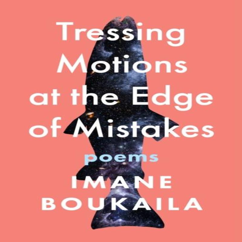 Tressing Motions at the Edge of Mistakes by Imane Boukaila Paperback Book 9781639550784