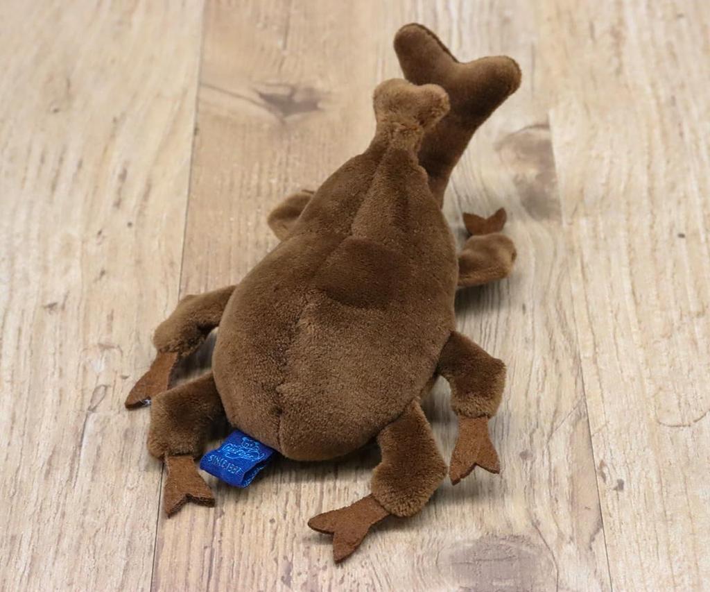 Take Off Pokepuni Beetle