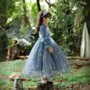 Frozen Children's Elsa Princess Dress Girls Skirt Autumn and Winter 2021 New Elsa Dress Elsa
