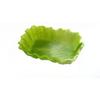 Shincatec Antibacterial Bento Cups, Square, Large, Lettuce, Pack of 3, Green