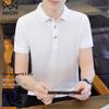 Men's Heavyweight Ice Silk Quick-Dry Polo Shirt