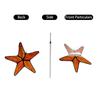Light-Transparent Hanging Ornaments - Plastic 2D Flat Ornaments - Single Sided 3.9 Inch Christmas Decorations For Walls And Doors