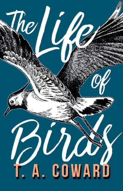 Libro The Life of Birds