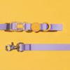 1.5m Dog Pet Leashes Cat Small Medium Dogs Leash Walking Rope Teddy Corgi