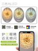 Modern French Dandelion Crystal Ceiling Light Fireball Light French Gold Restaurant Living Room Bedroom Lighting G9LED