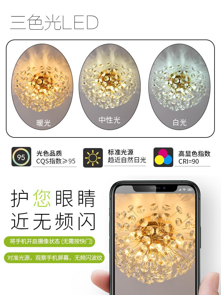 Modern French Dandelion Crystal Ceiling Light Fireball Light French Gold Restaurant Living Room Bedroom Lighting G9LED