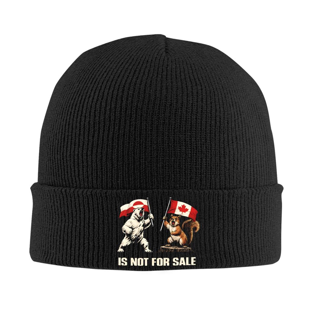 Greenland Is Not For Sale Knitted Hat Street Caps Female Male Kpop Beanie Hats Autumn Graphic Elastic Bonnet Hats