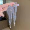 Luxury Zircon Tassel Silver Earrings – High-End European & American Fashion for Women