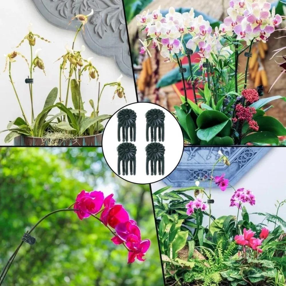 50/100Pcs Garden Plant Clips Butterfly Orchid Support Clamp Flower Stem Vine Tied Clip Fruit Vegetable Grafting Garden Tools