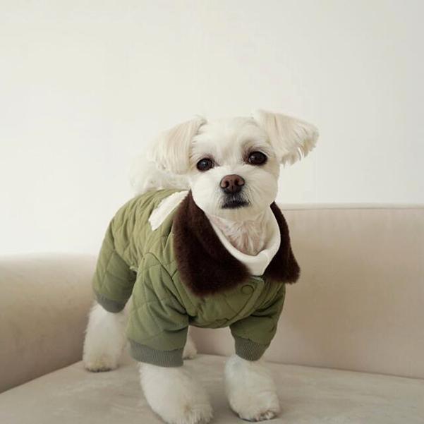 Pet Four-legged Cotton Coat Dog Clothes Winter Teddy Bichon Pomeranian VIP Yorkshire Terrier Small Dog Warm Clothing