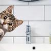 Funny Cat Peeking Window Wall Sticker Bathroom Toilet Decor Living Room Cabinet Refrigerator Home Decoration Decal Stickers S636