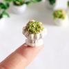 Mini Plant Model 1/12 Scale Doll Houses Plants Realistic Micro Plastic Pots for Doll Houses Garden Accessories Fairy Garden Patio Decor Miniature
