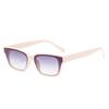 1/3Pcs Set Fashion Cat Eye Sunglasses Women Retro Minimalist Design Outdoor Sports Anti Uv Leopard Female Sun Glasses Uv400