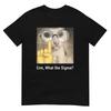 Men Funny Meme Cat Sigma Glasses T Shirt Harajuku Graphic Tee Casual Streetwear Cotton Short Sleeve Top
