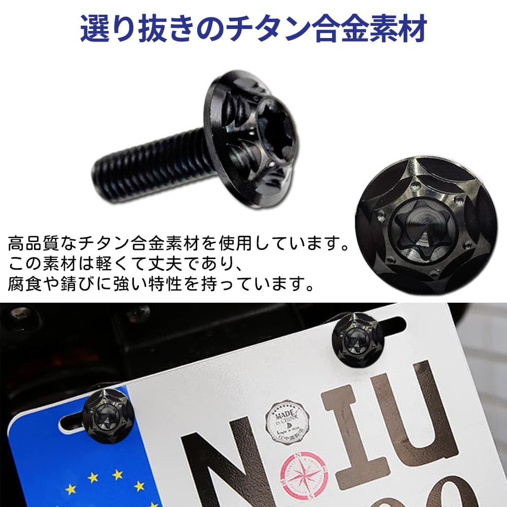 HiLiBoom M6 Anti-Theft Screws Titanium Alloy Snowflake Design Car License Plate Bolts Set of 2 (4 Blue)