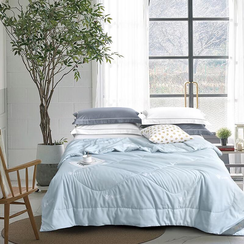 Softnie All-Season Antibacterial Soybean Fiber Quilt