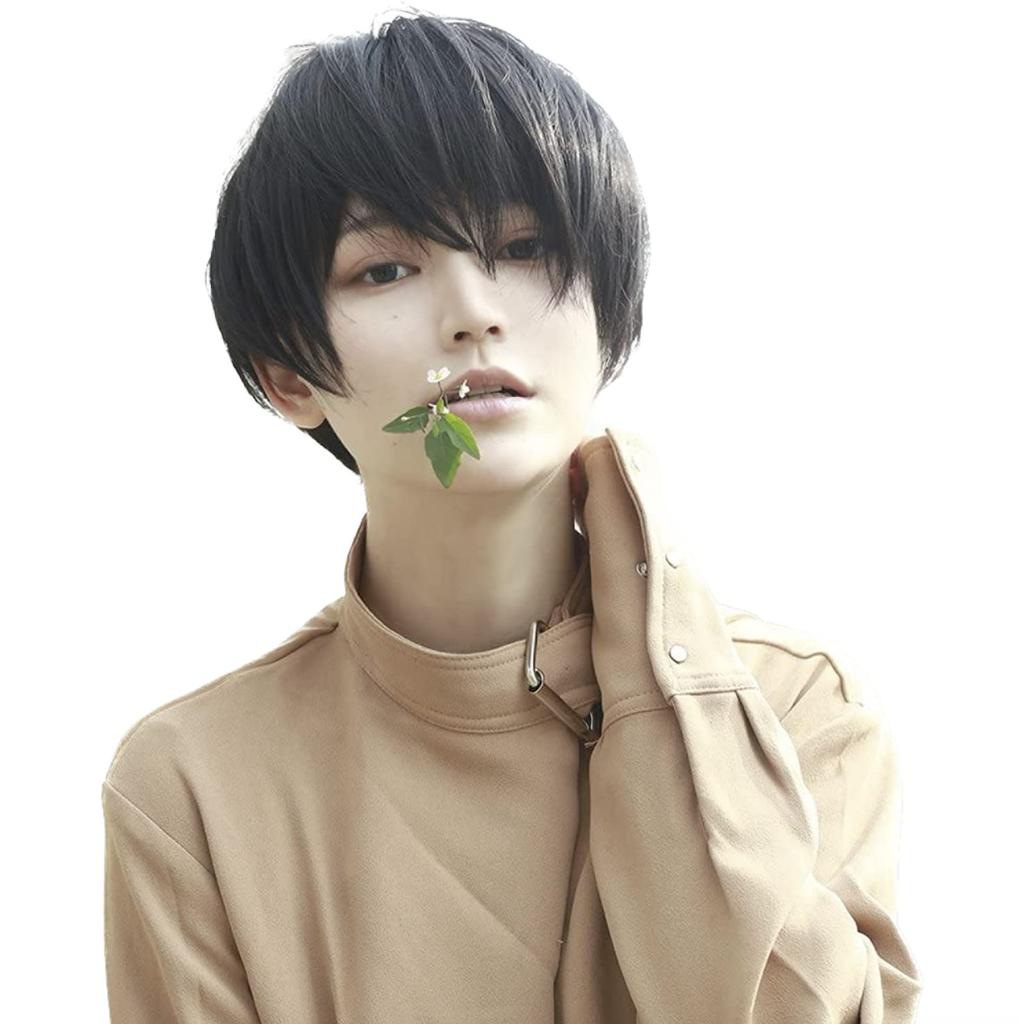 Next-generation Wig for Men, Short, Stylish, Natural-looking Hair, Heat-resistant, with Stand, Comb, and Net (black, AG01)