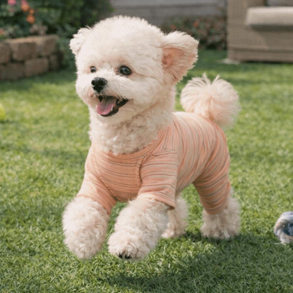 Soft Dog Striped Jumpsuit Four-legged Dog Pajamas Dog Recovery Suit  Belly Protective