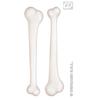 Costume Accessory - WIDMANN - Set of 2 Giant Bones - Unisex - White