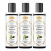 Khadi Amla Bhringraj Shikakai Shampoo - 100% natürlicher ayurvedischer Reiniger für starkes, gesundes Haar - Sulfatfrei, Parabenfrei - Reduziert Haarausfall &