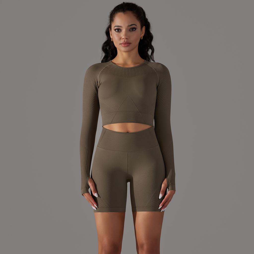 Seamless Long Sleeved Round Neck T-Shirt Sports Suit, High Waist And Hip Lifting Tight Shorts, Fitness Yoga Two-Piece Set For Women