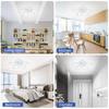 IRALAN Modern LED ceiling lamps Lighting For home Living study Bedroom Lamps Indoor pendant Light fixture LED Luster Chandeliers