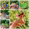 Non-Slip Hair Claw Acrylic Updo Shark Clamp Cute Back Head Hair Holder  Daily