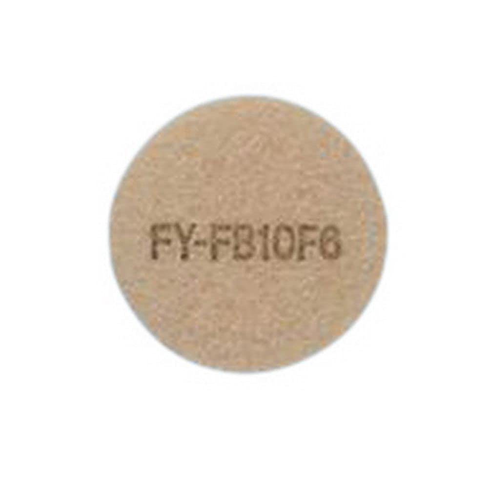 Panasonic Replacement Air Intake Filter for Air Intake Pipe Fan FY-08PS6D (FY-FB10F6)