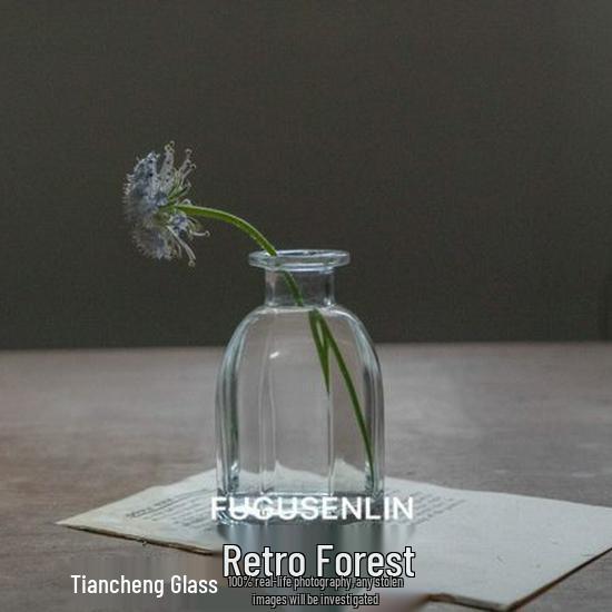 Kleine französische Retro-Glasvase für Blumen und Hydrokultur