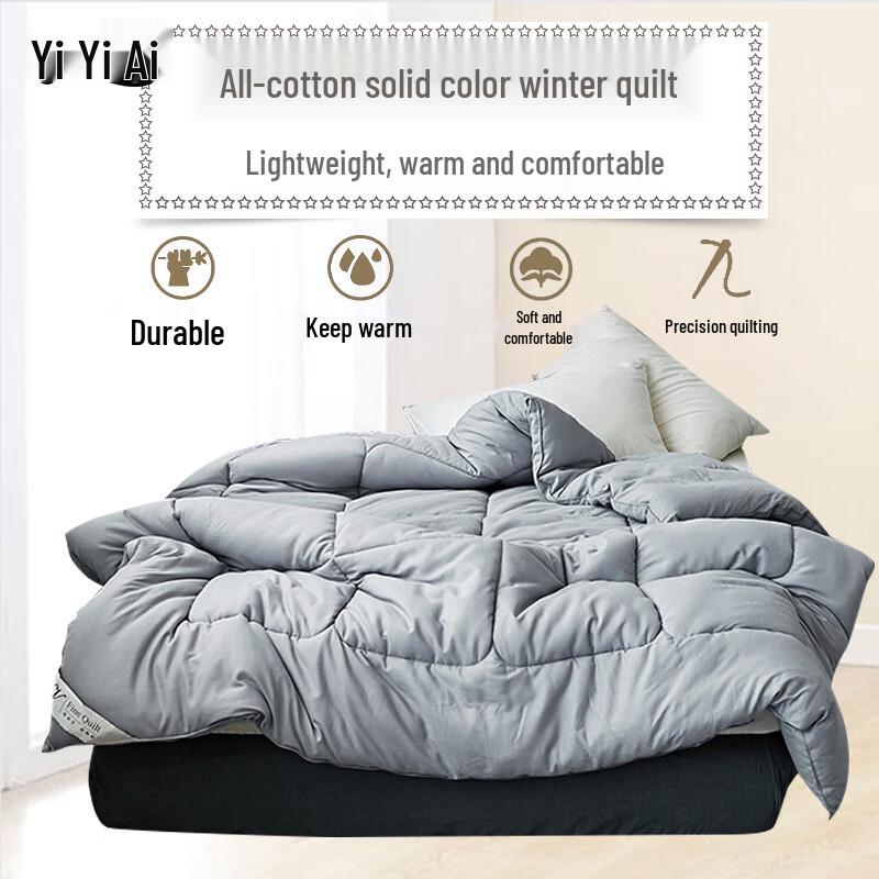 

Yi Yi Ai Warm Winter Cotton Blend Duvet Insert