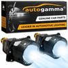 Iluminação profissional – Iluminação para horticultura