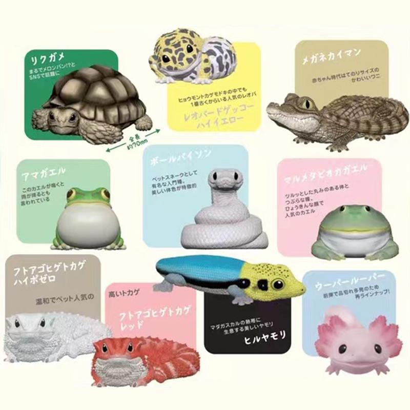 Genuine CANDY TOY Figure Small Scale Model Handheld Little Cute Friend Cynops Eublepharis Macularius Action Figure Model Toys