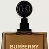 Burberry Hero Men's Fragrance