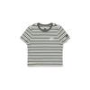 Bbc Earth Women S Summer Tee Dolphin Polycot