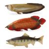 Solid Static Simulation Marine Animal Model Plastic Ornament Golden Arowana Silver Arowana Children'S Toy Figure