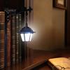 Modern Shelf Light Vintage Bookshelf Light, LED Reading Lamp for Bookcase, Metal Retro Lamp, Battery Free Decorative Desk Book Lovers & Library Study
