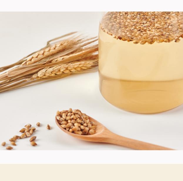 Soonjak Organic Whole Grain Barley Tea 500g | Caffeine-Free Korean Roasted Barley Tea