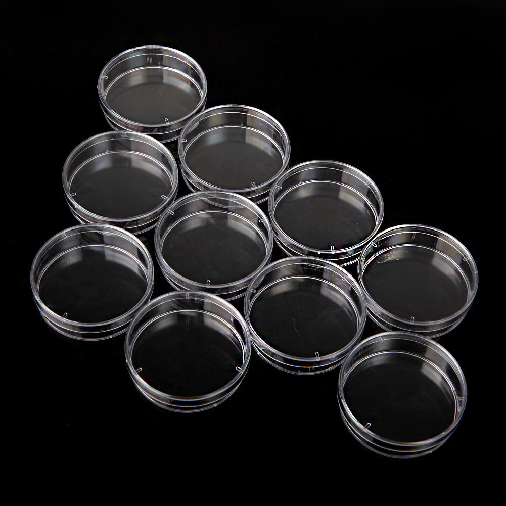 Buy 50Pcs 5ml Plastic Clear Snap Cap Centrifuge Tubes Vials Sample Lab ...