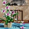 Cross-Border Compatible Lego Orchid: Two-Color Petal Building Block Flower Ornament - Perfect Gift for Girls