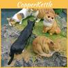 Childrens Pvc Realistic Cat Animal Model Toy For Educational Play And Collecting