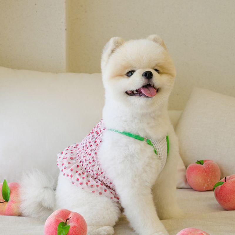 SALTYHEARTY Hello Crop Blouse Peach White