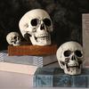 Halloween Skull Head Decor Plastic Realistic Human Skull Figurine for Graveyard Scene Haunted House Bar Home Table Decorations