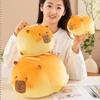 Capybara Plush Toys Cartoon Animal Stuffed Doll Room Sofa Decoration Kid Gifts