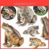 Modèle Animal Grenouille pour Enfants en Plastique avec Design de Grenouille Réaliste Pour Cadeaux Éducatifs
